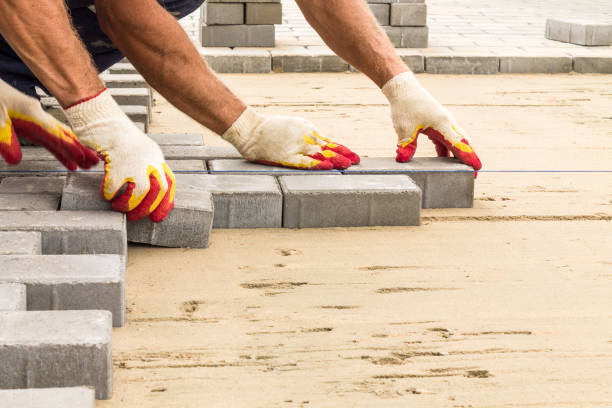 Best Custom Driveway Pavers  in Tuscola, IL
