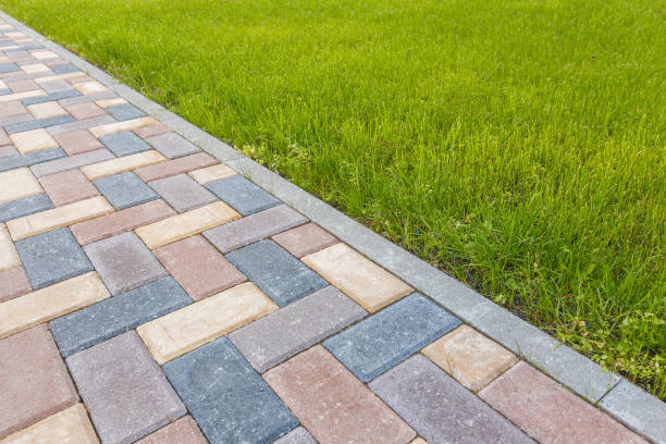Best Driveway Paving Contractor  in Tuscola, IL